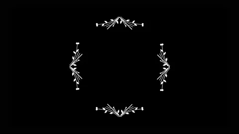 4K Square frame with hand drawn flowers animation Video stock 149978932