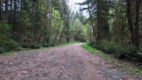 4K stabilized pocket action camera footage walking along gravel forest road, USA 库存影片 334849744
