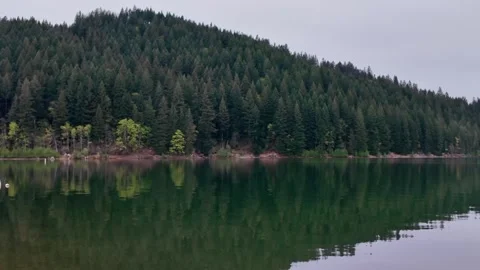 4K stabilized pocket action camera footage of peaceful Yale Lake in Washington,  库存影片 334849831