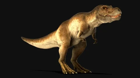 4k standing tyranosaurus rex. 3d rendering. High quality 4k footage. Stock Footage 254473074