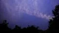 4K Starry Sky 01 Milky Way Time Lapse in Forest 4k or 4k+ Resolution