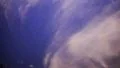 4K Starry Sky 07 Tilt Down Milky Way Time Lapse in Forest 4k or 4k+ Resolution