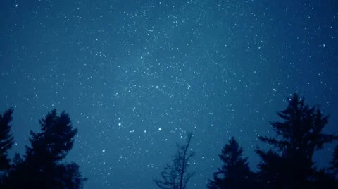4K Stars Turn Through Trees, Time Lapse Stock Footage 10805111