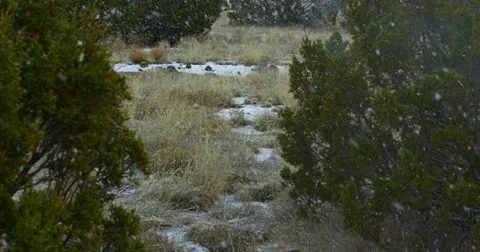 4K Static 120fps Snow Video stock 46597724