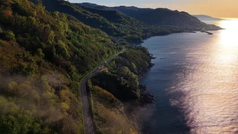 4K Static Aerial of Coastal Forest Road at Golden Sunset Stock-Footage 339287044
