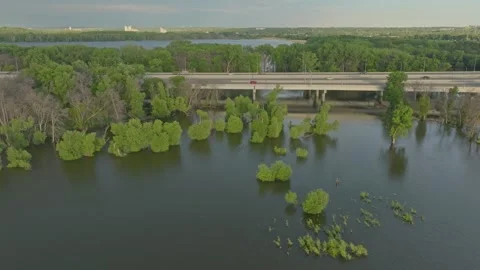4K Static Drone Shot Of Submerged Trees In Flooded Fisher Lake Savage MN Stock Footage 278380493