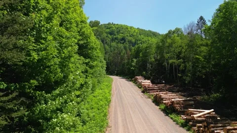 4K Static Drone Shot of Timber Log Piles along Rural Logging Road Stock Footage 345426550