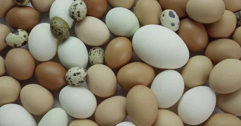 4k static overhead straight down view of eggs Stock-Footage 81338021