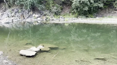 4K static shot of clear green mountain river water reflecting forest trees Stock-Footage 344338020