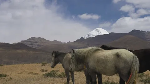 4K Static Shot of Sacred Mount Kailash and Horses in Ngari, Tibet Stock Footage 336264826