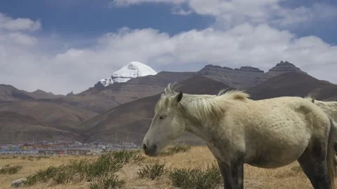4K Static Shot of Sacred Mount Kailash and Horses in Ngari, Tibet 库存影片 336264827
