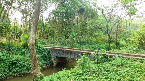 4K Static Shot of Stone Footbridge over Malampuzha Irrigation Canal, Kerala.. Stock Footage 329550270