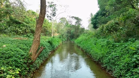 4K Static View from Bridge of Water Flowing through Malampuzha Irrigation C.. Stock Footage 329556605