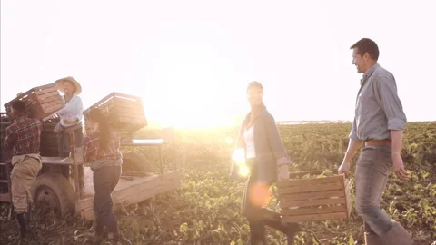 4k steadicam wide shot content and happy couple farmers and workers carrying and Stock Footage 201096799