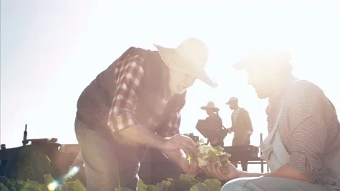 4k steadicam wide shot of experienced farming father and son inspecting the qual Vidéo 201095445