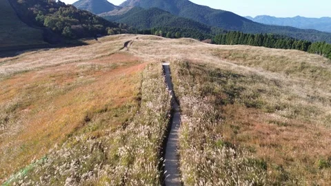 4K Still Shot Tracking Through Soni Highlands Pampas Field by Drone 스톡 동영상 257789368