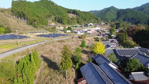 4K Still Shot of Train Amidst Nature's Embrace by Drone Stock Footage 257789966