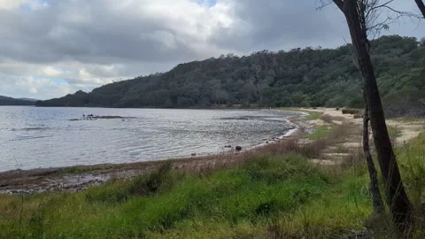 4k Still view of Springdale Beach, Denmark Westen Australia 库存影片 277706511