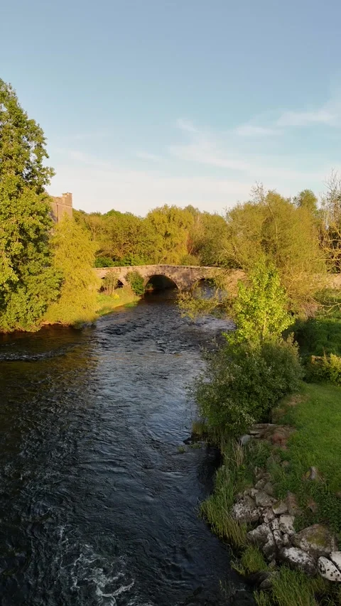 4K Stone Arch Bridge Over River in Cloghristick Carlow Ireland Vidéo 333932073