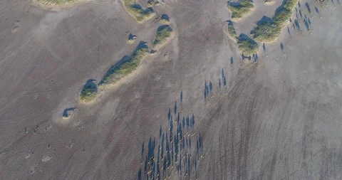 4K straight down aerial view of a large herd of migrating zebra moving across Vídeo Stock 95254533