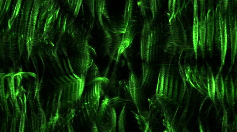 4k Streaks of green Light Abstract Motion Background, seamless loop Stock Footage 42871606