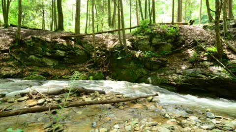 4K Stream Flowing Push In Stock Footage 22975747