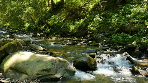 4K. Stream  with  stone. Landscape  Stockbeeldmateriaal 82556033