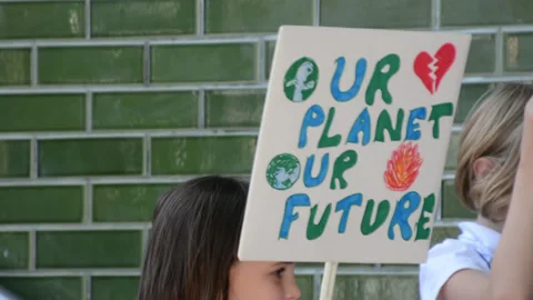 4K Students protest against climate change in London Stock Footage 313822790