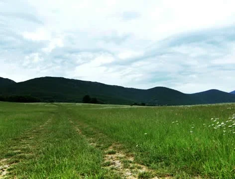 4K - summer landscape Stock-Footage 21435614