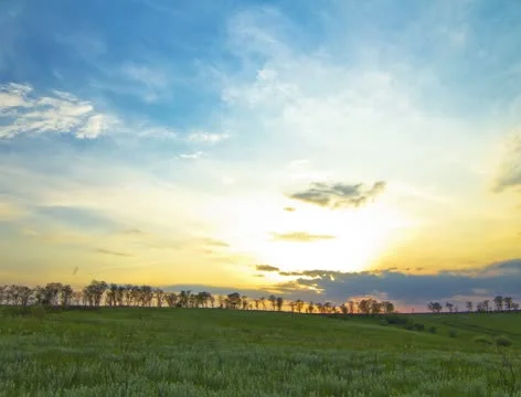 4K - summer landscape - sunset Stock Footage 21347831