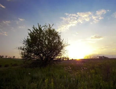 4K - summer landscape - sunset Stock Footage 21434988