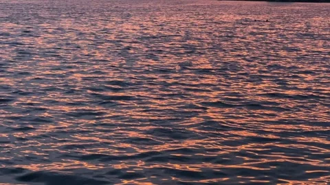4K Summer sunset lake broll Stock-Footage 245562007