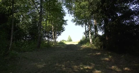 4K summer video of green fields in Russia Stock Footage 160507434