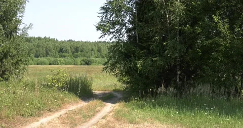 4K summer video of green fields in Russia Stock Footage 160507480