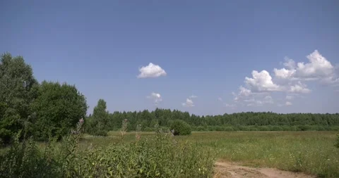 4K summer video of green fields in Russia Stock Footage 160530476