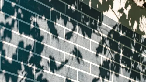 4K Summer Wall Light and Shadow Time Lapse Vídeos de archivo 347584246