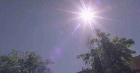 4k sun and palm trees Stock Footage 54212371