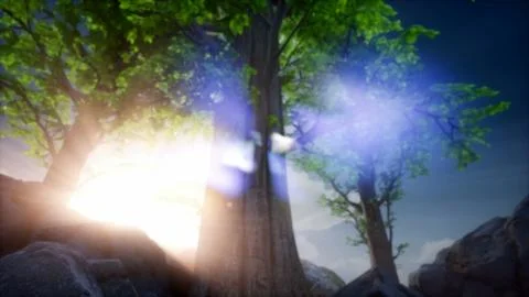4k Sun beams through Trees at rock Stock Illustration