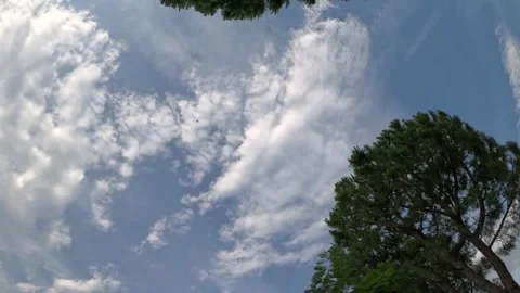 4K Sun Rays Through Clouds and Trees Fisheye 스톡 동영상 339275563