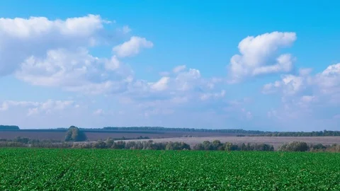  4K .Sunny day with beautiful clouds over green  rural field. Time lapse Video stock 70347272