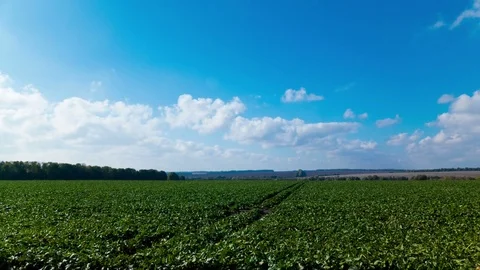  4K .Sunny day with beautiful clouds over green  rural field. Time lapse  Stockbeeldmateriaal 70347328