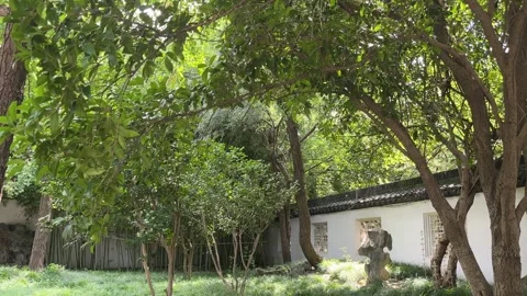 4K Sunny Day Green Trees Courtyard Beisi Pagoda Suzhou Stock Footage 346744923
