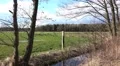 4k Sunny meadow with water puddles panning spring season 4k or 4k+ Resolution