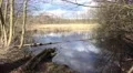 4k Sunny nature reserve marshland pond spring season 4k or 4k+ Resolution