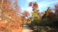 4k Sunny pathway in autumn mountain range forest 4k or 4k+ Resolution