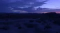 4K Sunrise in Mojave Desert 02 Joshua Trees Pan R 4k or 4k+ Resolution