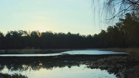 4K Sunrise time lapse in the Forest near the lake in early spring Stock Footage 104881973