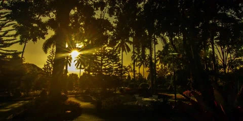 4K sunrise time lapse in a manicured garden Video stock 65264366