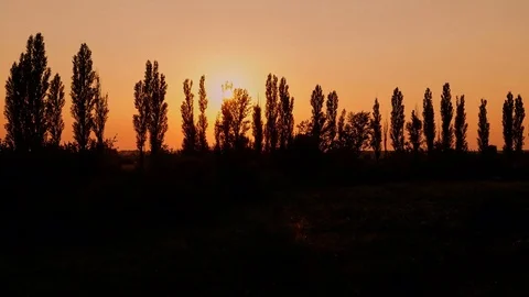 4K. Sunset clouds on the sky in horizon. Time-lapse. Stock Footage 84203466