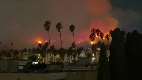 4K of Sunset Fire at Runyon Canyon in January 2025, Los Angeles, California Vidéo 303068949